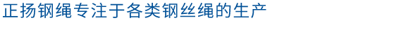 鍍鋅鋼絞線（xiàn）.png